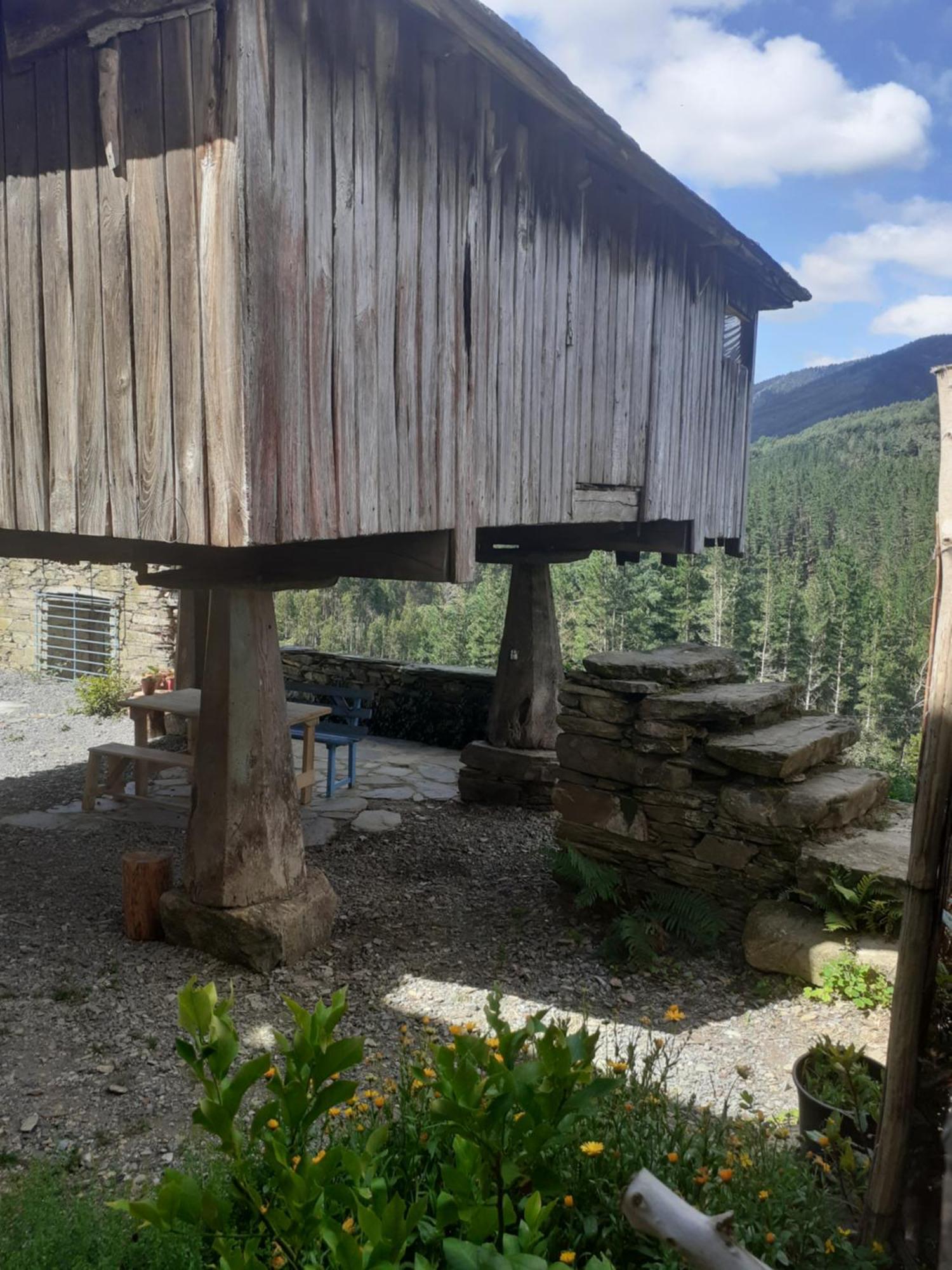 Sons Do Eo Apartamentos Turisticos Baleira Eksteriør billede
